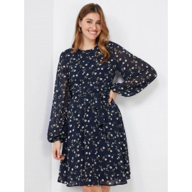 Floral Print Chiffon Fit & Flare Dress