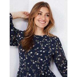 Floral Print Chiffon Fit & Flare Dress